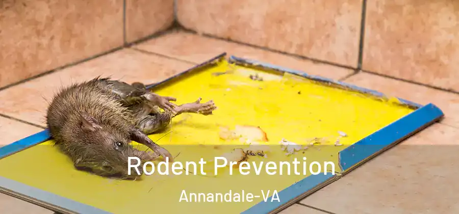 Rodent Prevention Annandale-VA