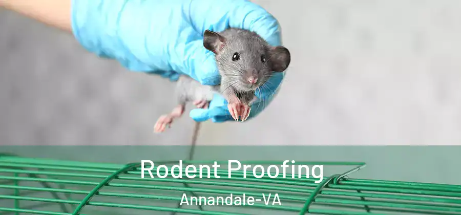 Rodent Proofing Annandale-VA