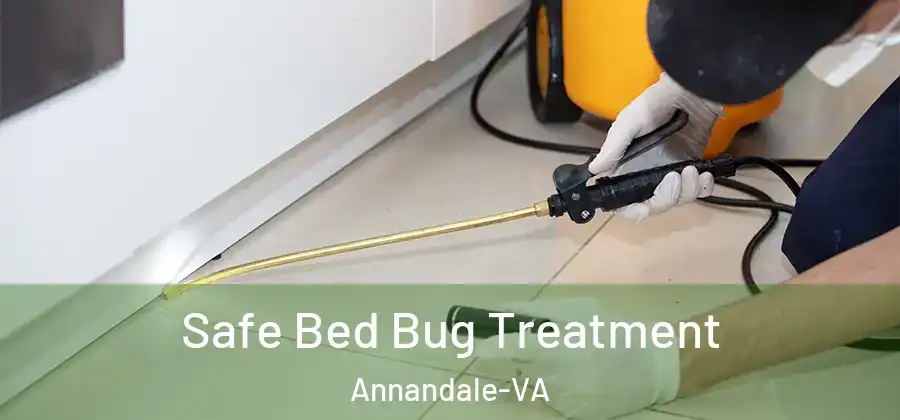 Safe Bed Bug Treatment Annandale-VA