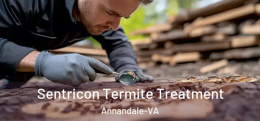  Sentricon Termite Treatment Annandale-VA