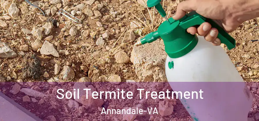 Soil Termite Treatment Annandale-VA