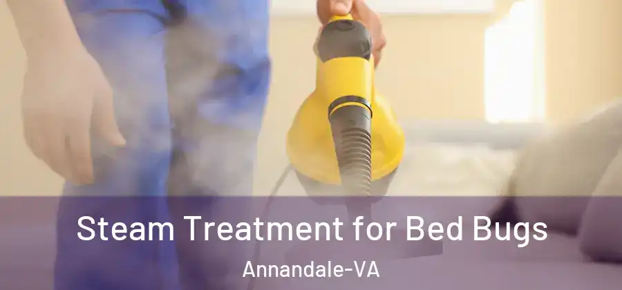 Steam Treatment for Bed Bugs Annandale-VA