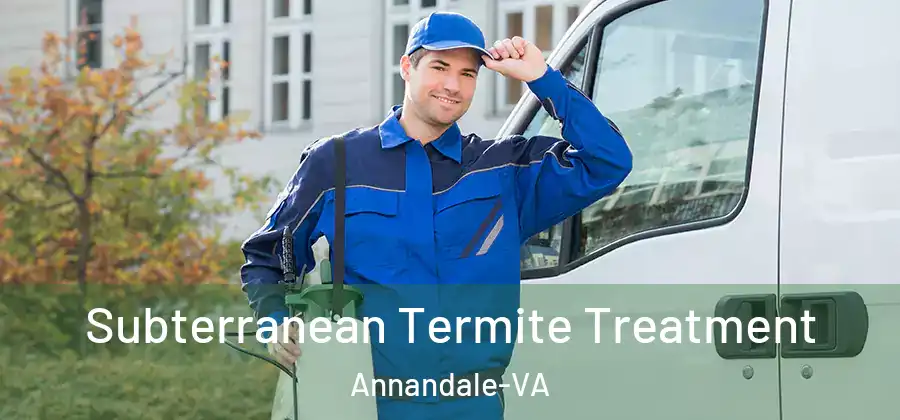 Subterranean Termite Treatment Annandale-VA