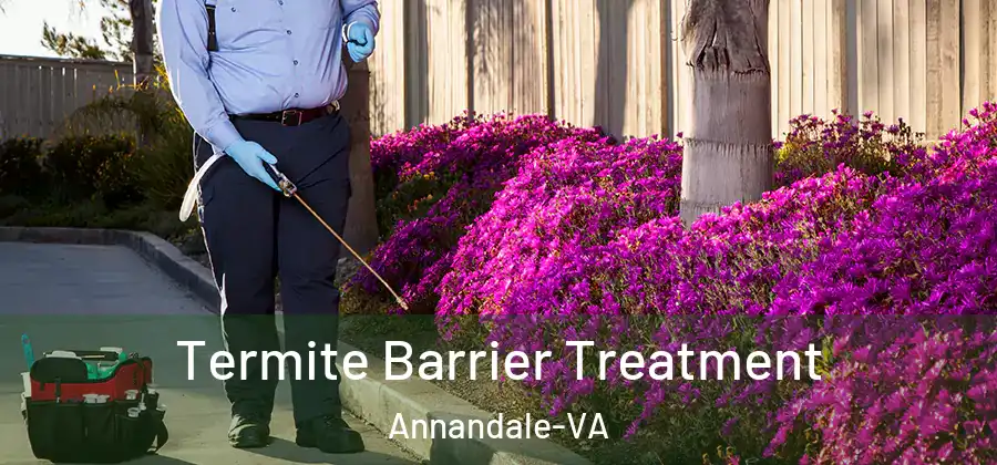Termite Barrier Treatment Annandale-VA