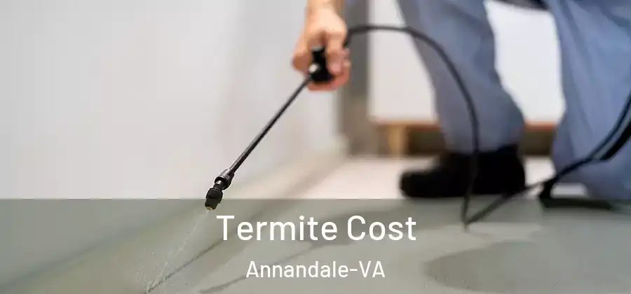 Termite Cost Annandale-VA