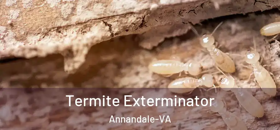 Termite Exterminator Annandale-VA