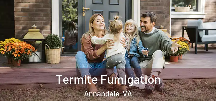 Termite Fumigation Annandale-VA