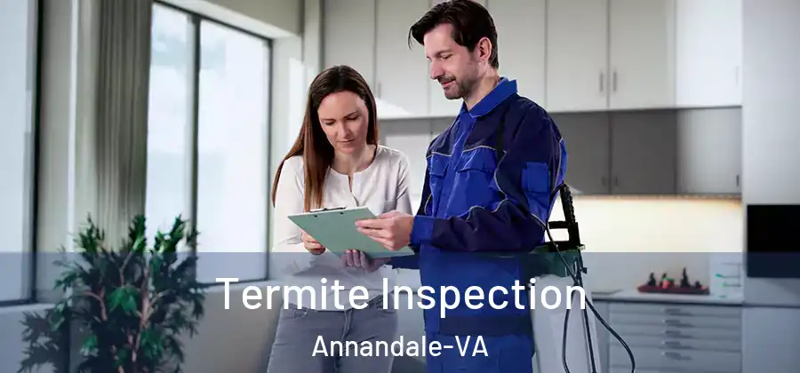 Termite Inspection Annandale-VA