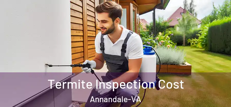 Termite Inspection Cost Annandale-VA