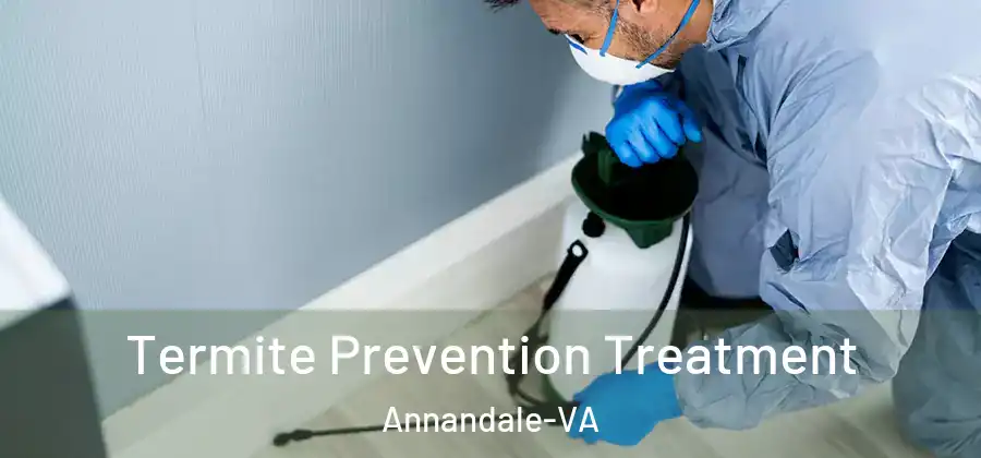 Termite Prevention Treatment Annandale-VA