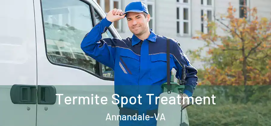 Termite Spot Treatment Annandale-VA