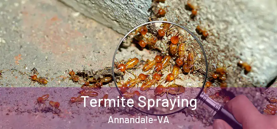 Termite Spraying Annandale-VA