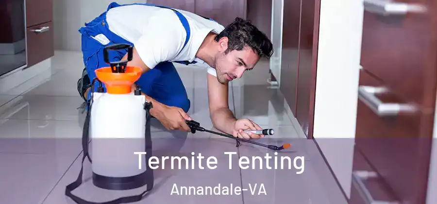 Termite Tenting Annandale-VA