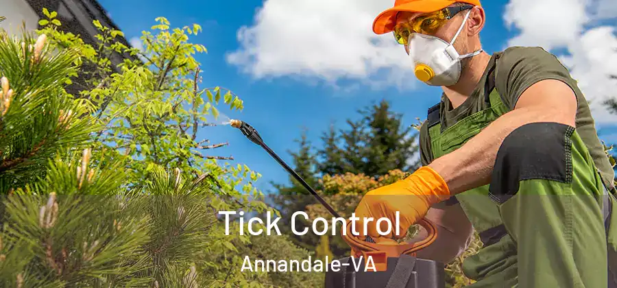 Tick Control Annandale-VA