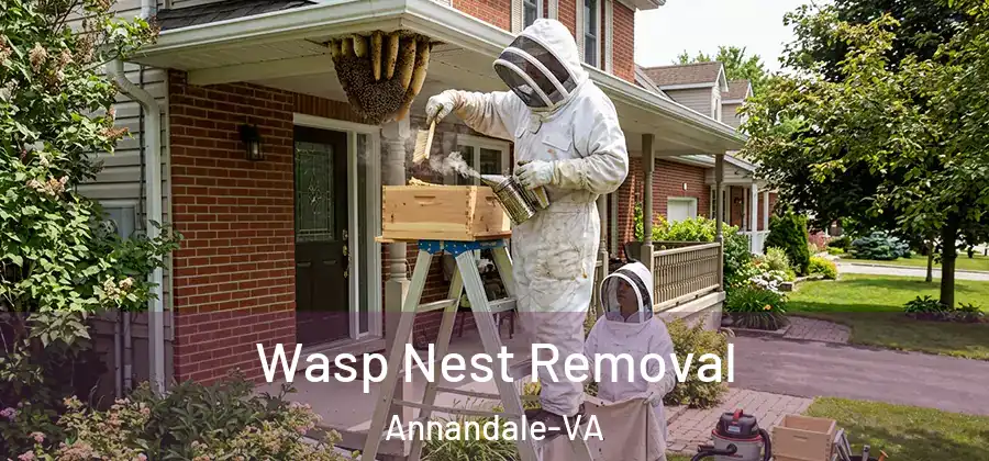 Wasp Nest Removal Annandale-VA
