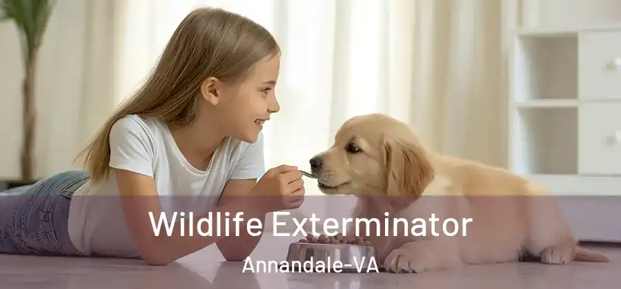 Wildlife Exterminator Annandale-VA