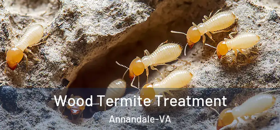 Wood Termite Treatment Annandale-VA