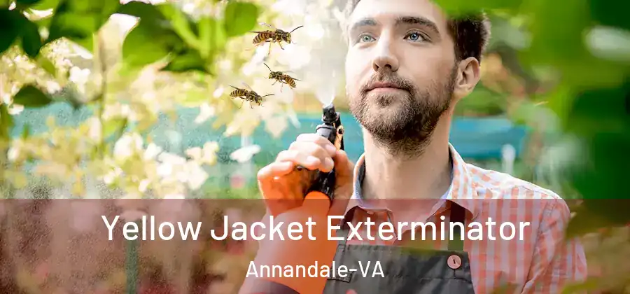 Yellow Jacket Exterminator Annandale-VA