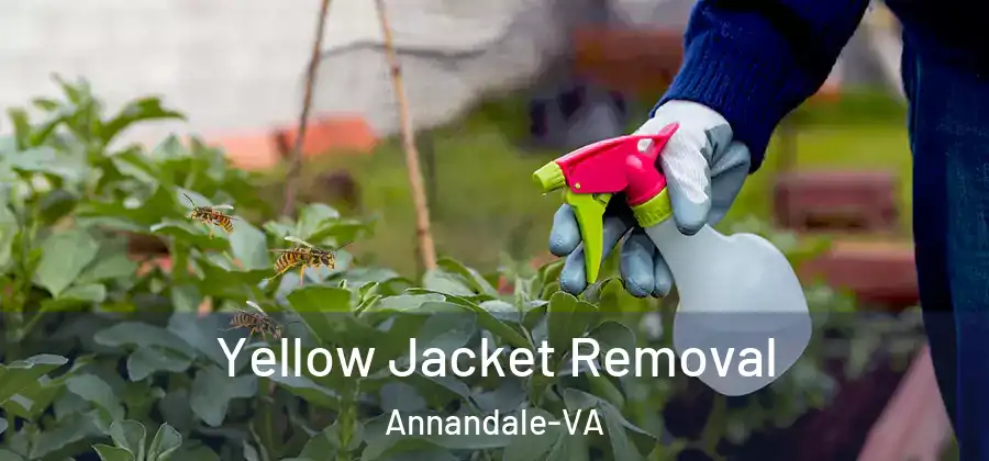 Yellow Jacket Removal Annandale-VA